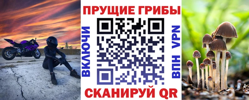 Псилоцибиновые грибы MAGIC MUSHROOMS  Городище 